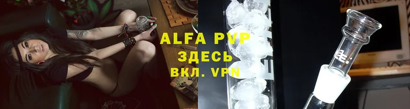 дарнет шоп  Кувшиново  Alfa_PVP СК 